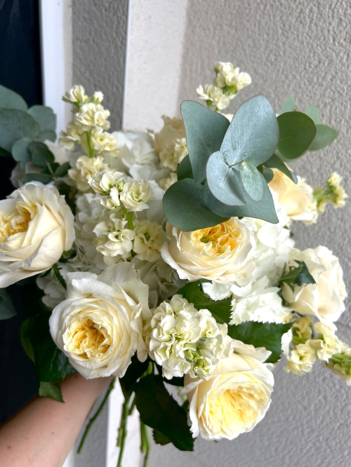 Lemon Melody.