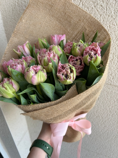 Spring Tulips.