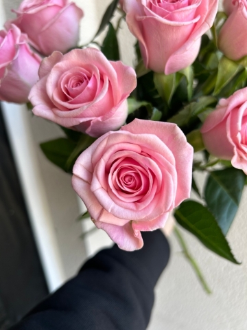 Classic Pink Roses Bouquet.