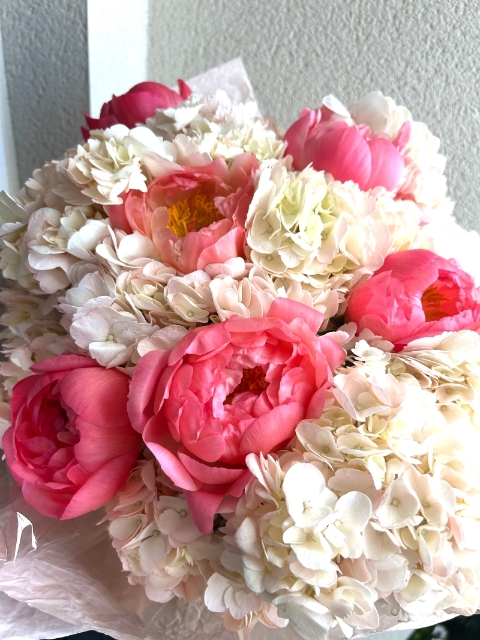 Peonies & Hydrangeas.